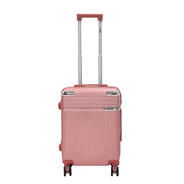 Carry On Trendy 19165
